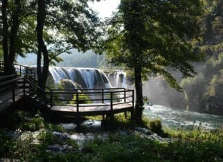 Women’s Organizations in Bulgaria A Growing Movement