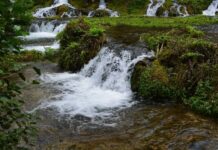 Political Conspiracies and Power Struggles in Ottoman Turkey