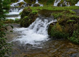 Political Conspiracies and Power Struggles in Ottoman Turkey