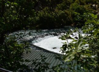 The Cemetery Above the Grotto of the Seven Sleepers